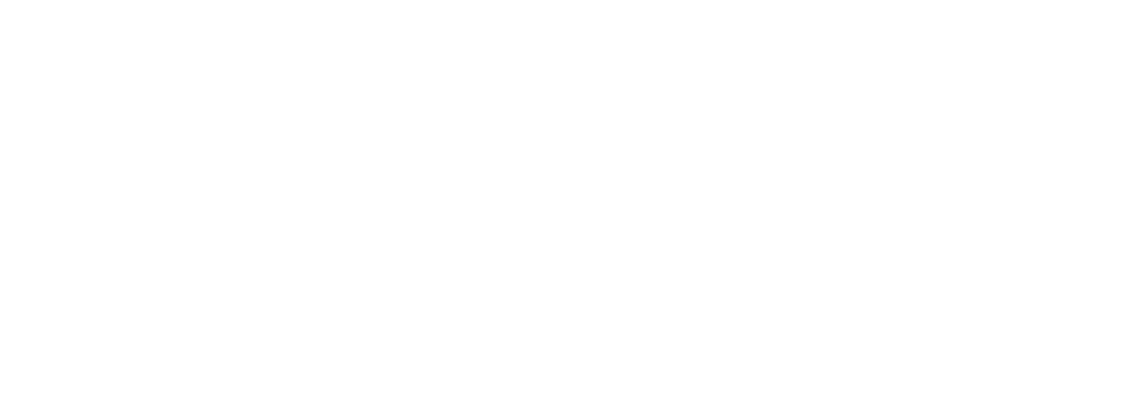 Gecko Marketing Digital